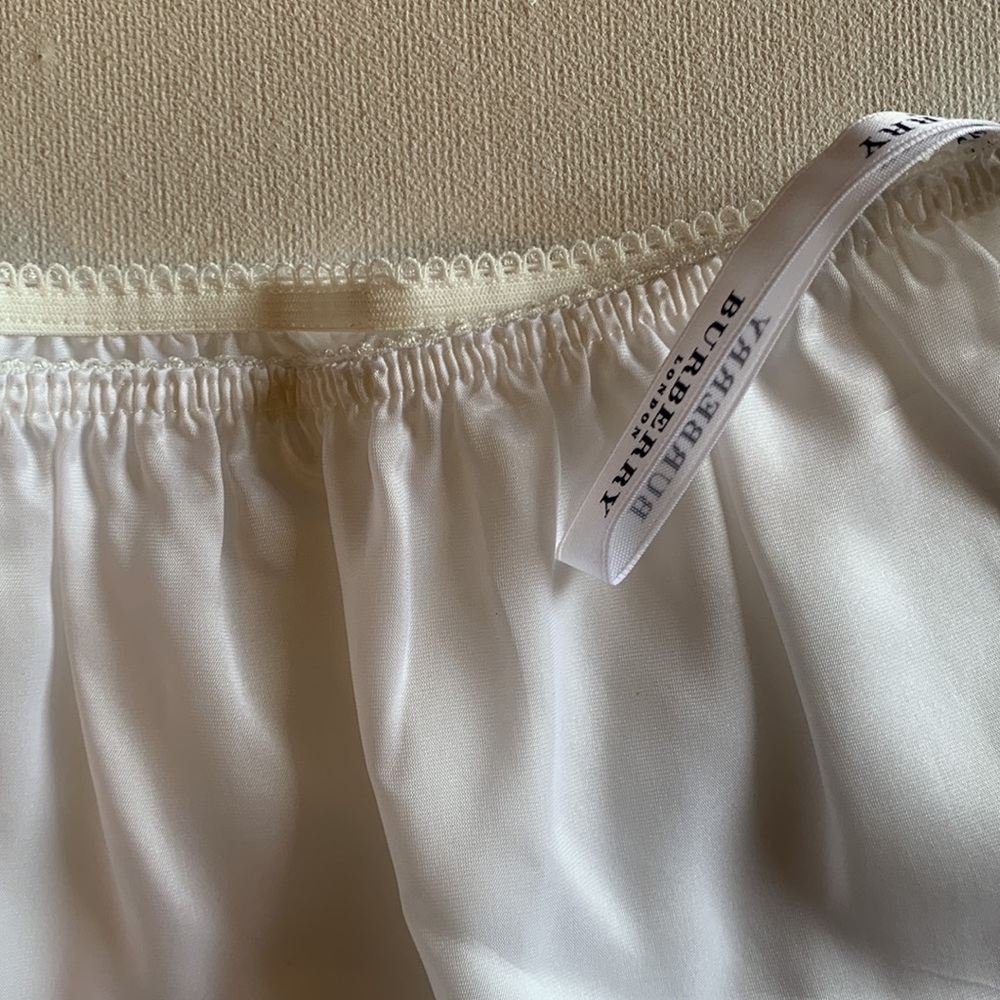 Burberry skirt liner - Picture 2 of 4